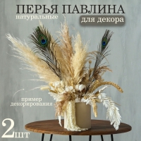 Перо павлина для декора, набор 2 шт., размер 1 шт. — от 40 до 50 см Перо павлина для декора, набор 2 шт., размер 1 шт. — от 40 до 50 см