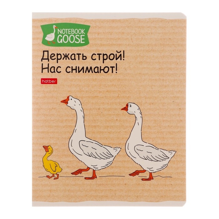 Тетрадь 48 листов в клетку Тетрадь 48 листов в клетку "Гусь-веселюсь №2", обложка мелованный картон, скругленные углы, 5В, МИКС