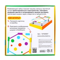 Развивающий набор &laquo;Цветные прищепки&raquo;, 3+