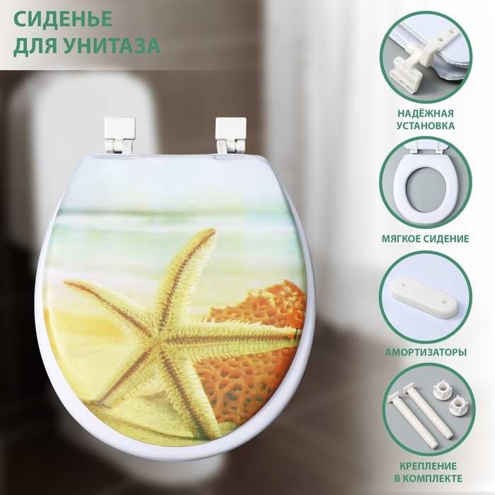 Сиденье для унитаза с крышкой Доляна &laquo;Пляж со звездой&raquo;, 40&times;37 см, мягкое