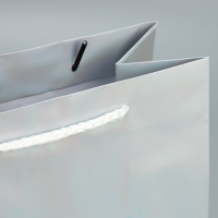 Пакет голографический &laquo;Сказочный лес&raquo;, 18 х 23 х 10 см, Новый год