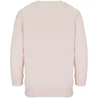 Свитшот детский Columbia Kids, розовый, на рост 142-152