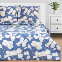Постельное бельё Этель 2 сп &laquo;Орхидея&raquo; 175х215 см, 200х220 см, 70х70 см - 2 шт