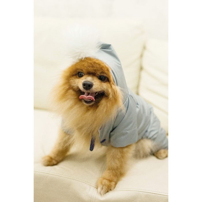 Комбинезон зимний для животных, флис, M (ДС 24-26, ОГ 34-36 см, ОШ 28 см), серый