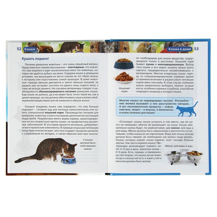 Детская энциклопедия &laquo;Кошки&raquo;