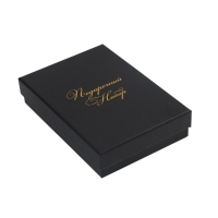 Фляжка для алкоголя и воды BIG BOSS, нержавеющая сталь, подарочная, 240 мл, с воронкой Фляжка для алкоголя и воды BIG BOSS, нержавеющая сталь, подарочная, 240 мл, с воронкой