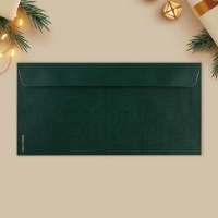 Набор подарочных конвертов «С Новым годом», 10 штук, тиснение, 22 х 11 см, Новый год Набор подарочных конвертов «С Новым годом», 10 штук, тиснение, 22 х 11 см, Новый год