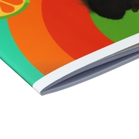 Альбом для рисования 24 листа А4 на скрепке Мульти-Пульти "Чебурашка"