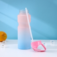 Бутылка с трубочкой Доляна «Градиент», 700 мл, 25×7×8 см, цвет МИКС Бутылка с трубочкой Доляна «Градиент», 700 мл, 25×7×8 см, цвет МИКС