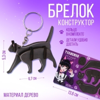 Брелок для ключей деревянный конструктор «Черный кот», 6.8 х 5.9 см Брелок для ключей деревянный конструктор «Черный кот», 6.8 х 5.9 см