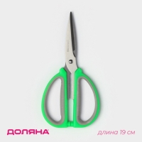Ножницы кухонные Доляна &laquo;Помощник&raquo;, 19 см, цвет зелёный