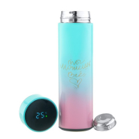 Термос, 500 мл, Basic "Мастер К.", сохраняет тепло 8 ч, термометр, розово-голубой Термос, 500 мл, Basic "Мастер К.", сохраняет тепло 8 ч, термометр, розово-голубой