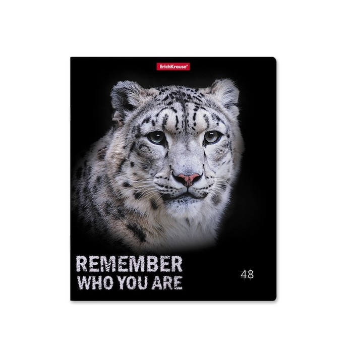 Тетрадь 48 листов в клетку, ErichKrause Strong and Brave, обложка мелованный картон, матовая ламинация, блок офсет 100% белизна, МИКС (1 вид в спайке) Тетрадь 48 листов в клетку, ErichKrause Strong and Brave, обложка мелованный картон, матовая ламинация, блок офсет 100% белизна, МИКС (1 вид в спайке)