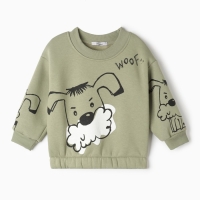 Свитшот для мальчика, цвет оливковый, рост 110 см Свитшот для мальчика, цвет оливковый, рост 110 см