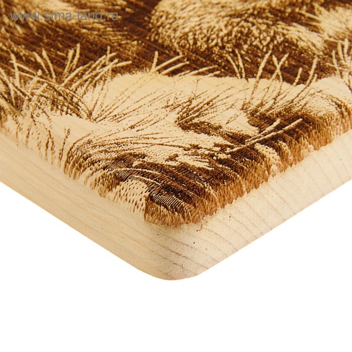 Доска из массива кедра &laquo;Белочка на ветке&raquo;, квадратная, 18 &times; 18 см