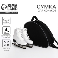 Сумка для роликовых коньков, 40х32х20 см, чёрный цвет Сумка для роликовых коньков, 40х32х20 см, чёрный цвет