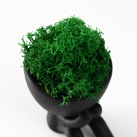 Кашпо бетонное мини "Мистер Грин" Кикадзару со мхом черный 5,5х6х6,5 см (мох зел. стабилиз) Кашпо бетонное мини "Мистер Грин" Кикадзару со мхом черный 5,5х6х6,5 см (мох зел. стабилиз)