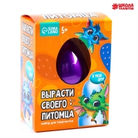 Вырасти своего питомца &laquo;&lrm;Дракон&raquo;, МИКС