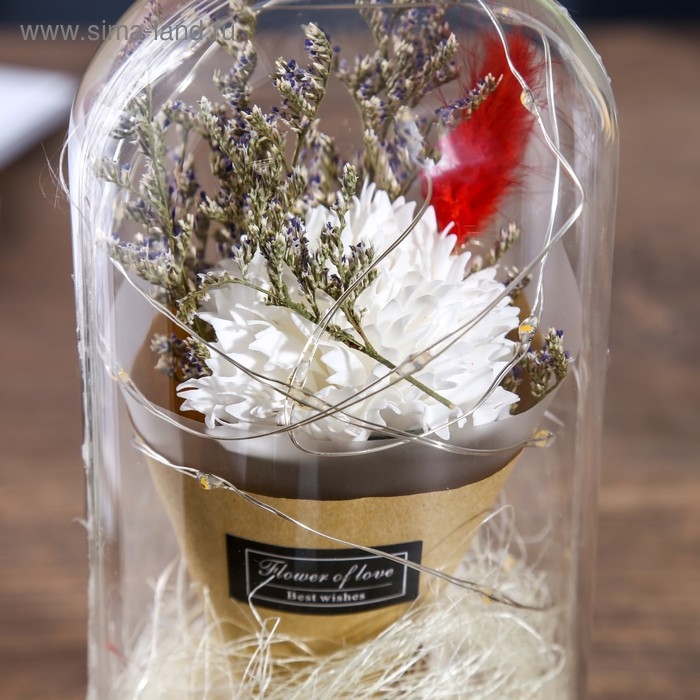 Ночник колба "Астра белая" LED 3ААА 10х10х21 см RISALUX