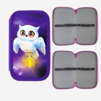 Пенал школьный 2 секции 190 х 105 лам.кар ПО-090 &laquo;1 сентября: Совушка&raquo;