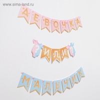 Гирлянда на ленте &laquo;Гендер пати&raquo;, мальчик или девочка, длина 220 см