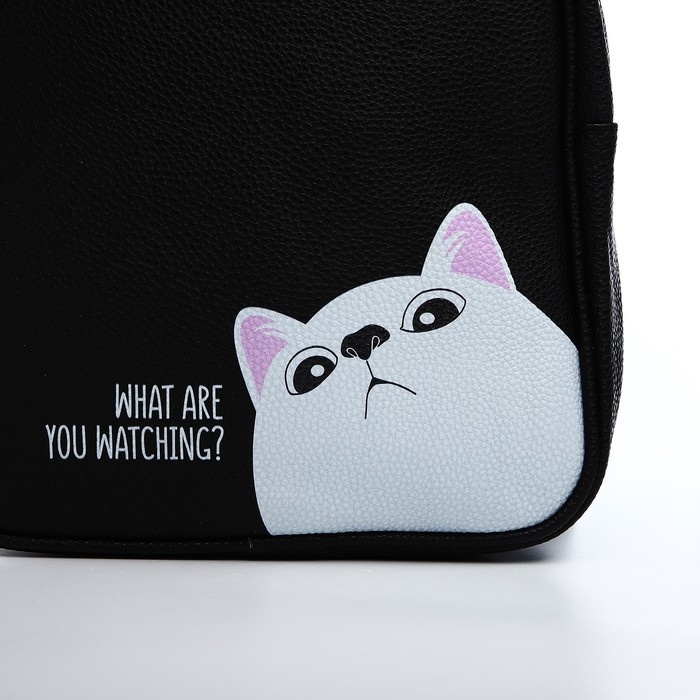 Рюкзак из искусственной кожи &laquo;What are you watching?&raquo; 27х23*10 см