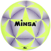 Футбольный мяч MINSA, машинная сшивка, 12 панелей, р. 5, TPE