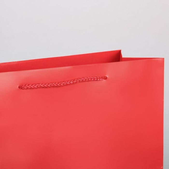 Пакет подарочный ламинированный, упаковка, «Красный», L 28 х 38 х 9 см Пакет подарочный ламинированный, упаковка, «Красный», L 28 х 38 х 9 см