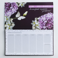 Подарочный набор &laquo;Для лучшей учительницы&raquo;: ежедневник А5, 80 листов, планер с отрывными листами, 50 листов