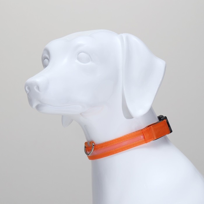 Ошейник с подсветкой размер XL, ОШ 52-60 х 2,5 см, 3 режима свечения оранжевый Ошейник с подсветкой размер XL, ОШ 52-60 х 2,5 см, 3 режима свечения оранжевый