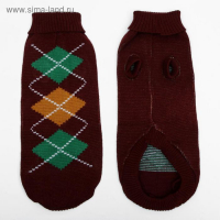 Свитер, размер 18 (ДС 50-65, ОШ 22-37, ОГ 38-53 см), микс расцветок Свитер, размер 18 (ДС 50-65, ОШ 22-37, ОГ 38-53 см), микс расцветок