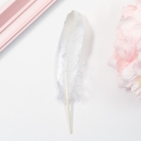 Перья для декора, серебро полная окраска , 13-15 см 10 шт Перья для декора, серебро полная окраска , 13-15 см 10 шт