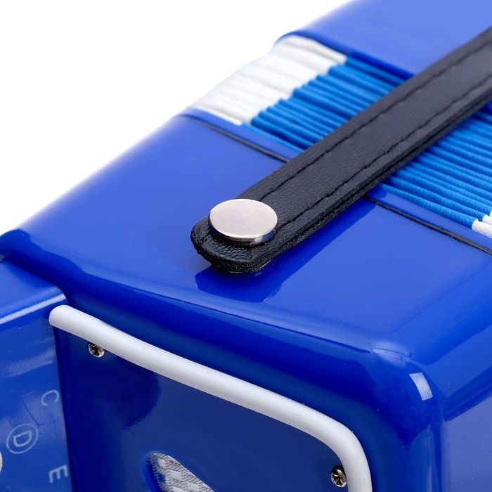 Музыкальная игрушка &laquo;Гармонь&raquo;, цвет синий