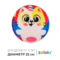 Мяч детский ZABIAKA &laquo;Котик&raquo;, d=22 см
