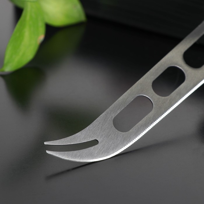 Нож для сыра Доляна Venus, 30&times;8 см, нержавеющая сталь, цвет чёрный