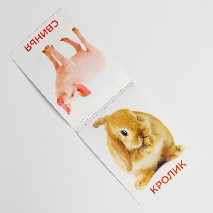 Развивающая игра на липучках &laquo;&lrm;Изучаем мир домашних животных&raquo;, методика Домана, с обучающими карточками по методике Глена Домана