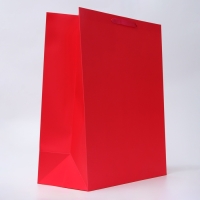 Пакет ламинированный вертикальный "Фуксия", XL 40 &times; 49 &times; 19 см