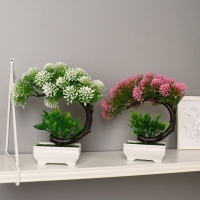 Бонсай в горшке "Селагинелла африканская" 10х20 см, микс Бонсай в горшке "Селагинелла африканская" 10х20 см, микс