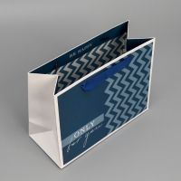 Пакет подарочный ламинированный двухсторонний, упаковка, &laquo;Для тебя&raquo;, MS 18 х 23 х 10 см