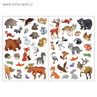 Наклейки многоразовые &laquo;Кто живёт в лесу&raquo;