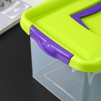 Контейнер для хранения с крышкой, 4 л, 29&times;19&times;13 см, цвет салатовый