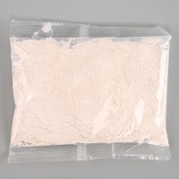 Магнит из гипса &laquo;Турбозавры. Зер&raquo;