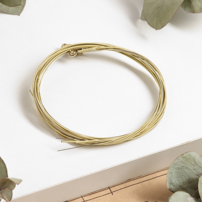 Струны для акустической гитары Music Life 6 шт., латунная оплетка Струны для акустической гитары Music Life 6 шт., латунная оплетка