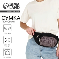 Сумка поясная с карманами &laquo;База&raquo;, 29х15 см