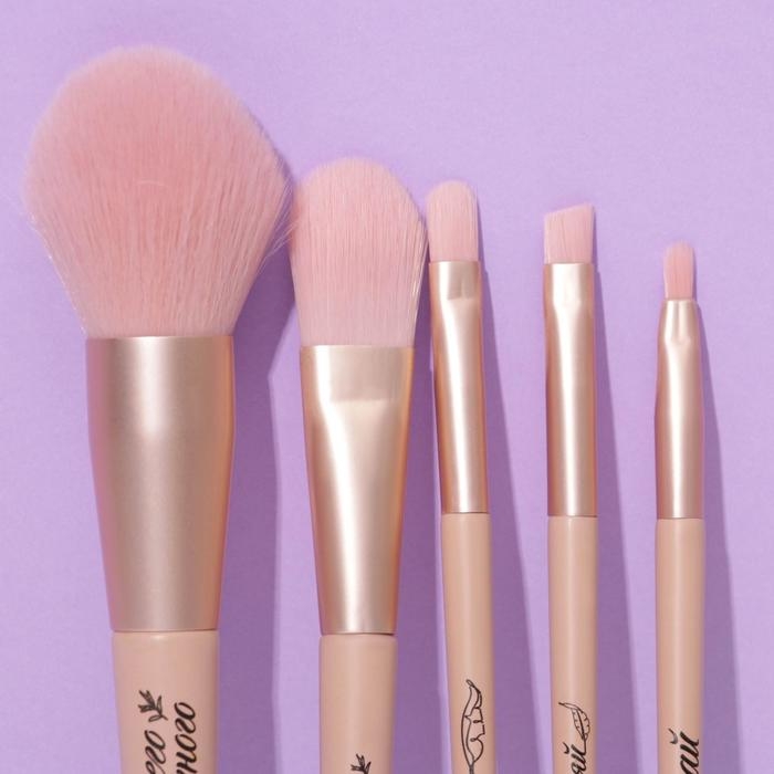 Набор кистей для макияжа «Самой стильной», 5 шт Набор кистей для макияжа «Самой стильной», 5 шт