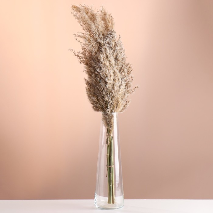 Набор сухоцветов Набор сухоцветов "Камыш", банч длина 65 (+/- 6 см), натуральный