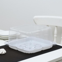 Тортовница пластиковая одноразовая с разъёмной крышкой УТ47, квадратная, внешний размер 24,8&times;24,8&times;10,6 см, внутренний 21,4&times;21,4 см, цвет прозрачный