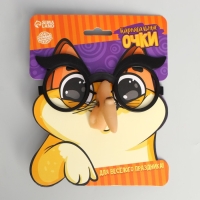 Хэллоуин. Очки карнавальные «Ведьма» Хэллоуин. Очки карнавальные «Ведьма»