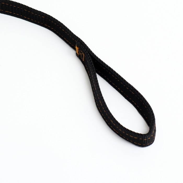 Поводок двухслойный с усиленным карабином, 3 м х 2 см, чёрный Поводок двухслойный с усиленным карабином, 3 м х 2 см, чёрный