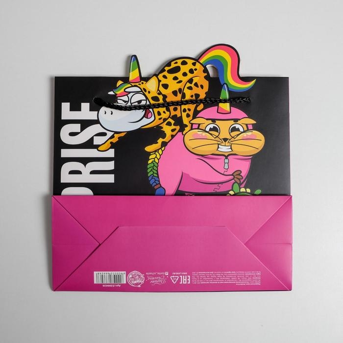 Пакет подарочный, упаковка, &laquo;Surpprise&raquo;, 25 х 26 х 10 см